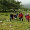 Irumagarrieta (510)